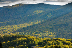 BIESZCZADY-POLONINA-CARYNSKA-18 BIESZCZADY-POLONINA-CARYNSKA-18