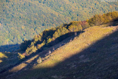 BIESZCZADY-POLONINA-CARYNSKA-22 BIESZCZADY-POLONINA-CARYNSKA-22