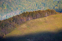 BIESZCZADY-POLONINA-CARYNSKA-23 BIESZCZADY-POLONINA-CARYNSKA-23