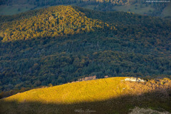 BIESZCZADY-POLONINA-CARYNSKA-26 BIESZCZADY-POLONINA-CARYNSKA-26