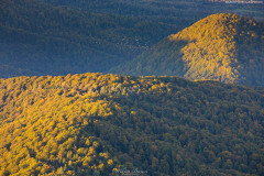 BIESZCZADY-POLONINA-CARYNSKA-28 BIESZCZADY-POLONINA-CARYNSKA-28