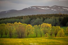BIESZCZADY-TARNAWA-17 BIESZCZADY-TARNAWA-17